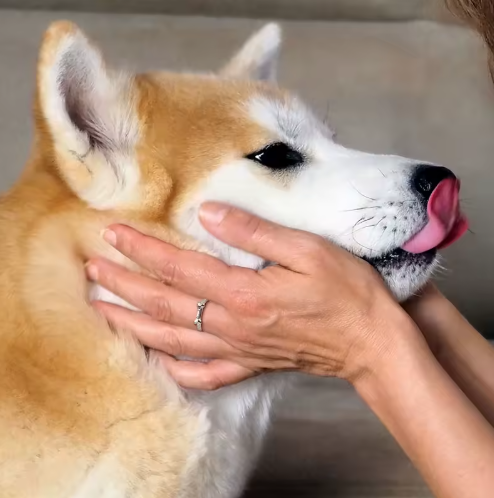 Bague OS — Porter son nom, comme une promesse